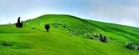 TooliPeer Pakistan